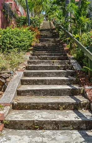 Stairs with plants